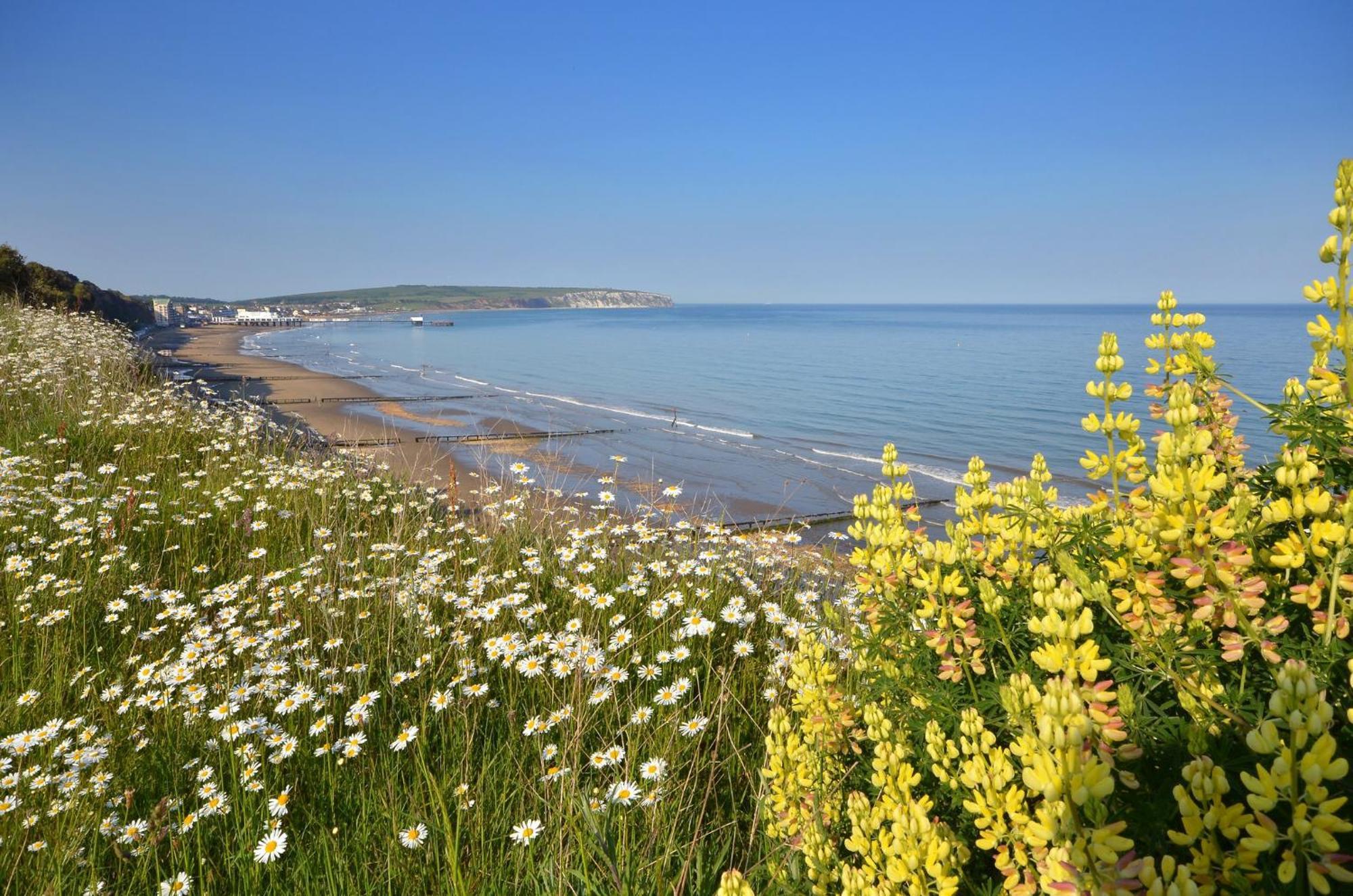 The Haven - Isle Of Wight Villa Sandown Eksteriør billede